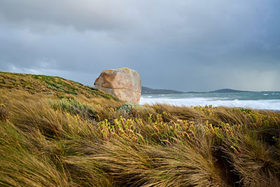 Flinders Island